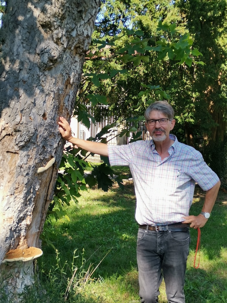 Pilzspaziergang in der Oststadt